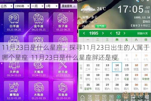 11月23日是什么星座，探寻11月23日出生的人属于哪个星座  11月23日是什么星座胖还是瘦