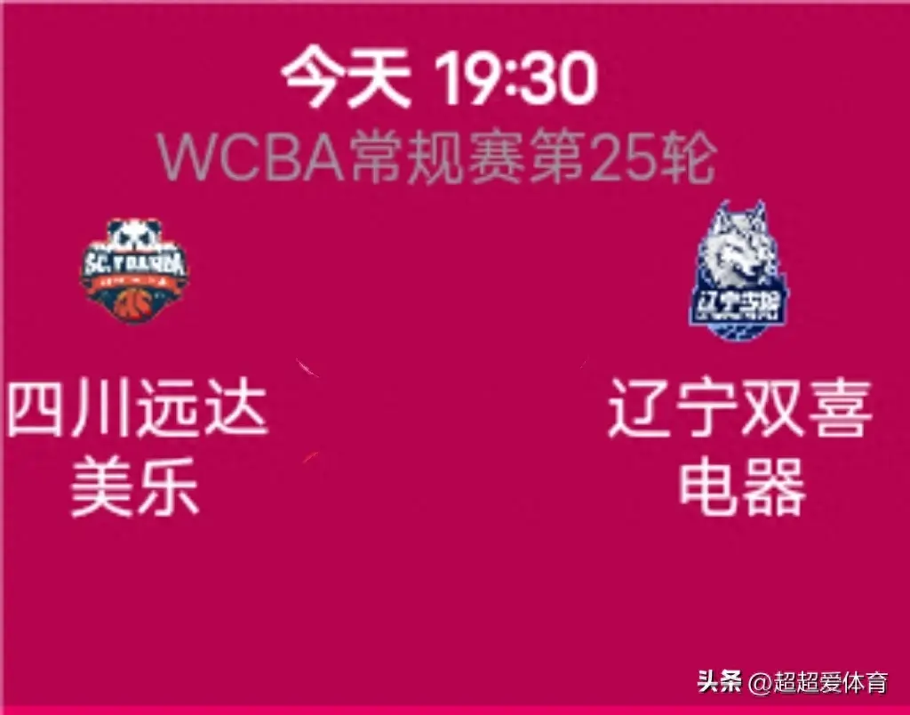 辽宁双喜女篮目前排名WCBA积分榜第12位