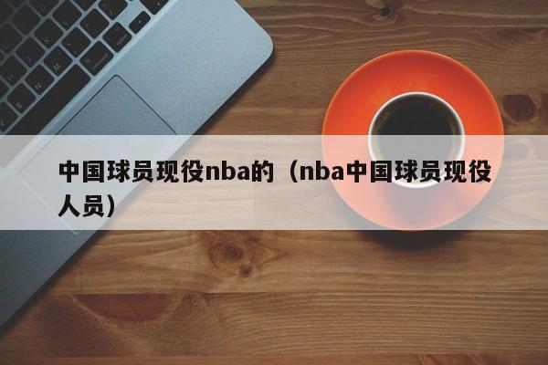 中国球员现役nba的（nba中国球员现役人员）