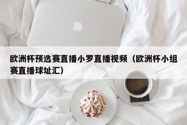 欧洲杯预选赛直播小罗直播视频（欧洲杯小组赛直播球址汇）