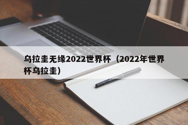 乌拉圭无缘2022世界杯（2022年世界杯乌拉圭）