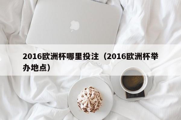 2016欧洲杯哪里投注（2016欧洲杯举办地点）